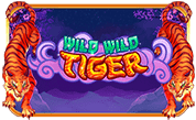 Wildwild Tiger